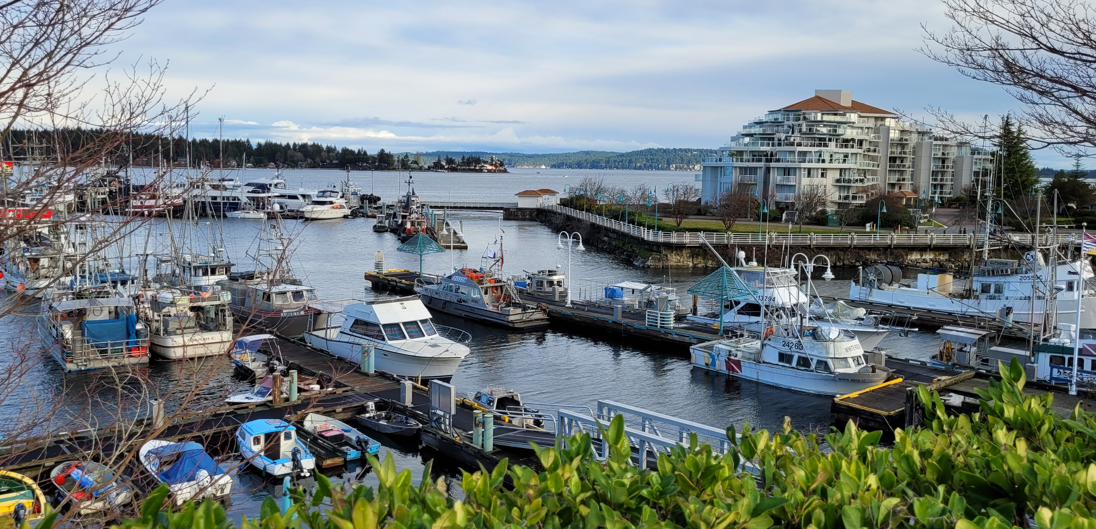 February 2024 Monthly Meetup: Vancouver Island Regional Library Downtown