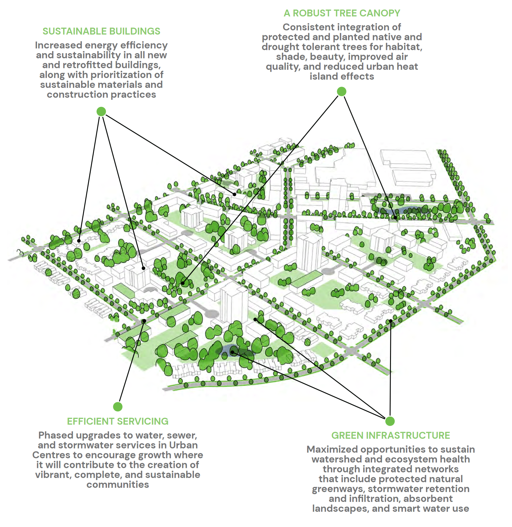 Nanaimo's priorities include improving our tree canopy and managing stormwater correctly. (City of Nanaimo)