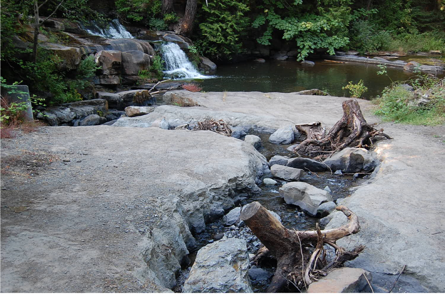 Salmon channel on the Millstone River in Bowen Park (DFO)